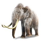 Research resources for genetic research on fossils